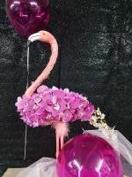 Flamingoes image 3