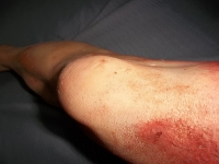 Severed Leg Prop image 2