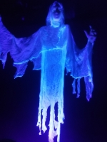 Animated Flying Ghost image 2