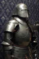 Armour image 2