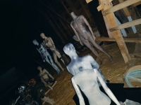 Mannequins Theme (Package) Image