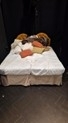 2 individual beds on casters with matching mattresses photo - Set-Exchange.co.uk