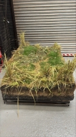 Grass set piece (metalwork base + wheels not included) image 1